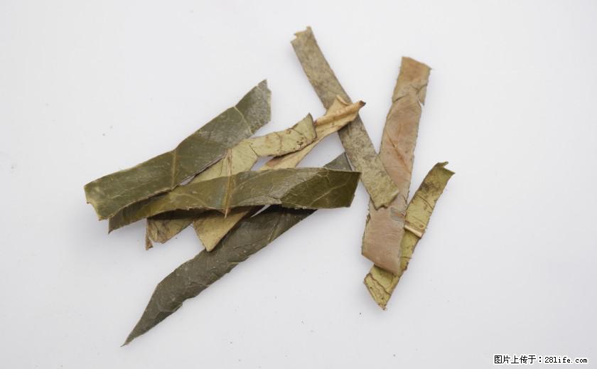 苦丁茶有哪些功效和作用 - 生活百科 - 宁德生活社区 - 宁德28生活网 nd.28life.com