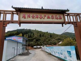 【灌阳县油茶产业示范区】一个有着充实的精神生活的人,对待身外之物自会有一种淡泊的态度 - 宁德28生活网 nd.28life.com