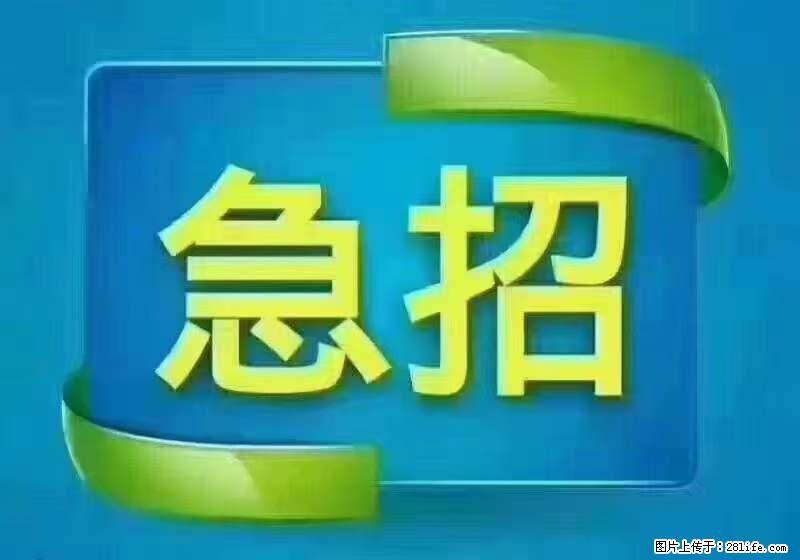 招财务，有会计证的，熟手会计1.1万底薪，上海五险一金，包住，包工作餐，做六休一 - 职场交流 - 宁德生活社区 - 宁德28生活网 nd.28life.com