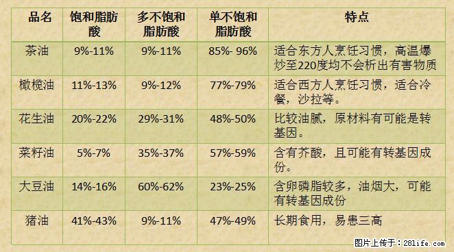 揭秘茶油的5大核心营养成分!被称为人体健康的“守护盾”! - 宁德生活资讯 - 宁德28生活网 nd.28life.com