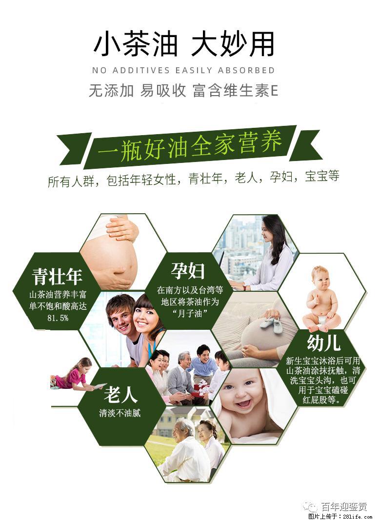 世界没有真相,只有认知,最好的食用油是中国的山茶油! - 宁德生活资讯 - 宁德28生活网 nd.28life.com