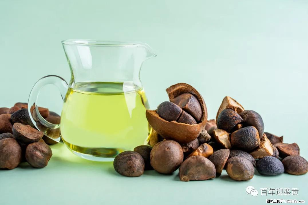 世界没有真相，只有认知，最好的食用油是中国的山茶油！ - 宁德生活资讯 - 宁德28生活网 nd.28life.com