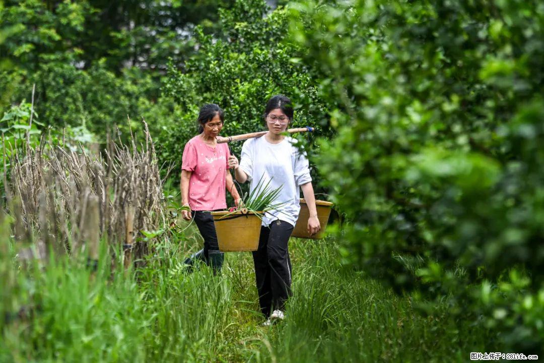 全网追的“扁担女孩”,找了一份暑假工,时薪12元 - 宁德生活资讯 - 宁德28生活网 nd.28life.com