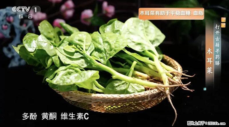 比牛奶补钙还厉害！凉血解毒、稳血糖...这菜冬天必吃，很多人却当草 - 宁德生活资讯 - 宁德28生活网 nd.28life.com