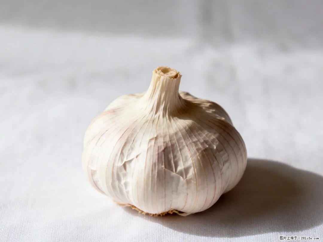 关于大蒜，除了“天然抗生素”，这4个谣言更该警惕! - 宁德生活资讯 - 宁德28生活网 nd.28life.com