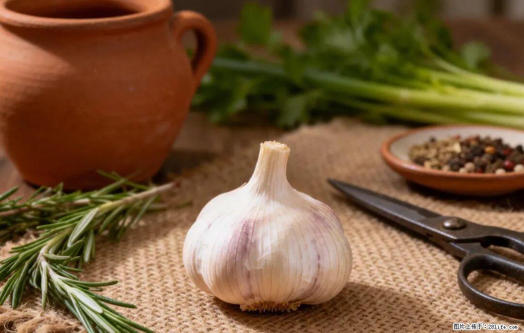 关于大蒜，除了“天然抗生素”，这4个谣言更该警惕! - 宁德生活资讯 - 宁德28生活网 nd.28life.com