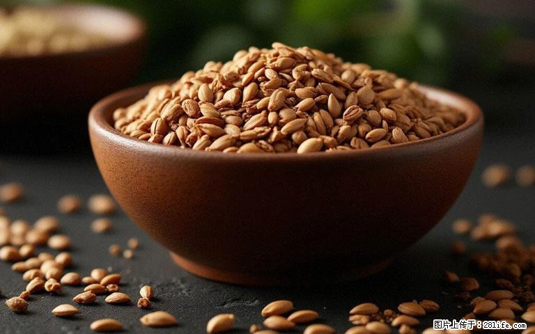 这三苦是三高“克星”，心血管干净不易堵！每天吃一点，指标慢慢降下来~ - 宁德生活资讯 - 宁德28生活网 nd.28life.com