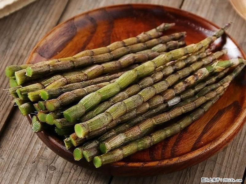铁皮石斛的作用与功能主治 - 宁德生活资讯 - 宁德28生活网 nd.28life.com