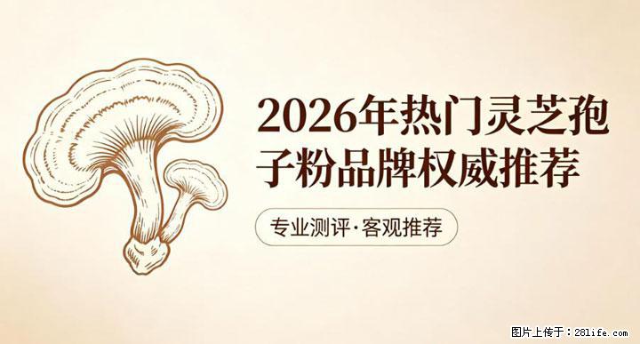 灵芝孢子粉含量越高越有效？2026 年七款热门品牌深度实测，肠胃敏感者避坑指南 - 宁德生活资讯 - 宁德28生活网 nd.28life.com